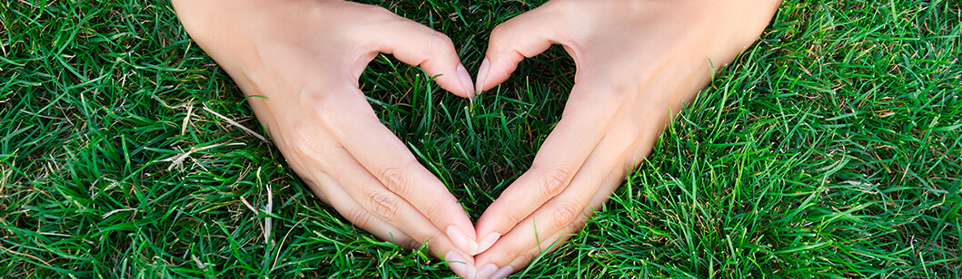 Sürdürülebilirlik